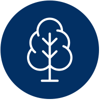 tree icon